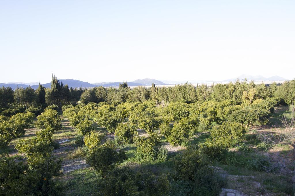 Mon Boutique Hotel Pollença Екстериор снимка